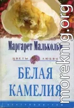 Белая камелия