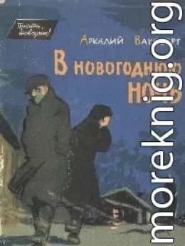 В новогоднюю ночь