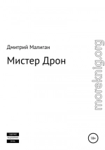 Мистер Дрон