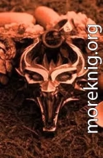 Ведьмак. Потерянный сын. Книга 2