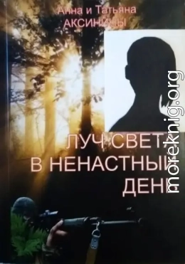Луч света в ненастный день