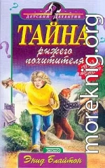 Тайна рыжего похитителя