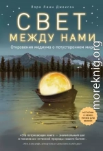 Свет между нами. Откровения медиума о потустороннем мире