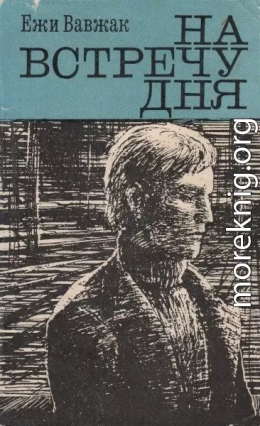 На встречу дня