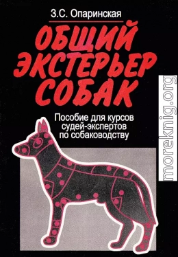 Общий экстерьер собак (Пособие для курсов судей-экспертов по собаководству)