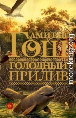 Голодный прилив