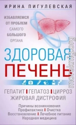 Здоровая печень. Избавляемся от проблем самого большого органа. Гепатит. Гепатоз. Жировая дистрофия. Цирроз…