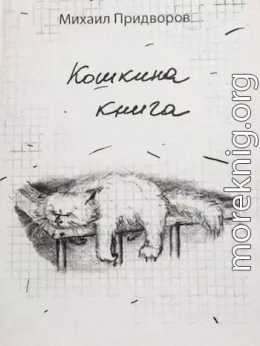 Кошкина книга