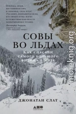 Совы во льдах: Как спасали самого большого филина в мире