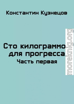 Сто килограммов для прогресса. Часть первая