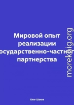 Мировой опыт реализации государственно-частного партнерства