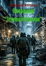 Операция «Теневой Клинок»