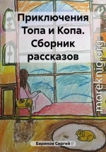 Приключения Топа и Копа. Сборник рассказов