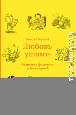 Любовь ушами. Анатомия и физиология освоения языков