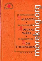 Полоска из ученической тетради