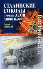 «Сталинские соколы» против асов Люфтваффе