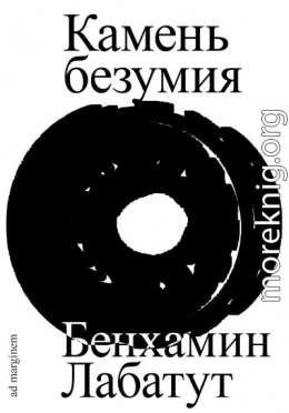 Камень безумия