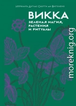 Викка: зеленая магия, растения и ритуалы