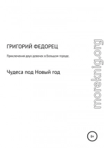 Приключения двух девочек в большом городе. Чудеса под Новый год