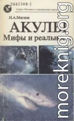 Акулы: Мифы и реальность