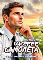 Шофер самолета