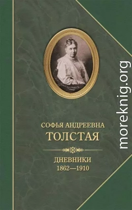 Дневники 1862–1910