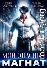 Мой опасный магнат