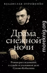 Драма снежной ночи. Роман-расследование о судьбе и уголовном деле Сухово-Кобылина