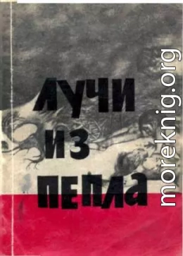 Лучи из пепла.