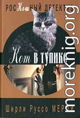 Кот в тупике