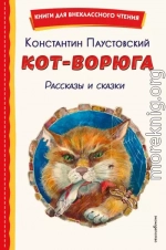 Кот-ворюга. Рассказы и сказки
