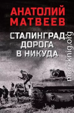 Сталинград: дорога в никуда