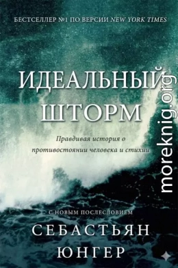 Идеальный шторм
