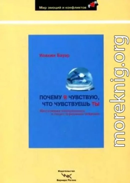 Почему я чувствую, что чувствуешь ты. Интуитивная коммуникация и секрет зеркальных нейронов