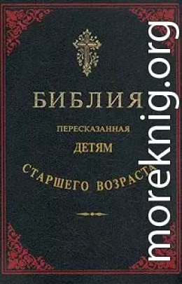 Библия, пересказанная детям старшего возраста. Новый завет (Иллюстрации — Юлиус Шнорр фон Карольсфельд)