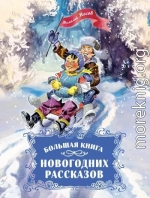 Большая книга новогодних рассказов
