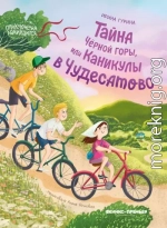 Тайна Черной горы, или Каникулы в Чудесатово