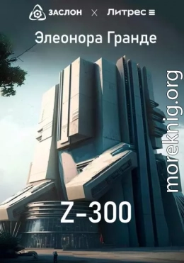 Z-300