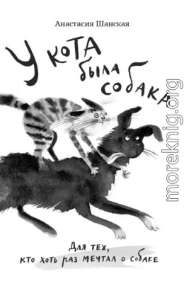 У кота была собака