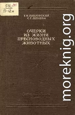 Очерки из жизни пресноводных животных