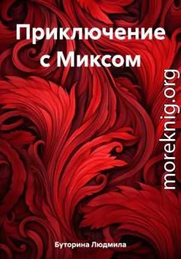 Приключение с Миксом