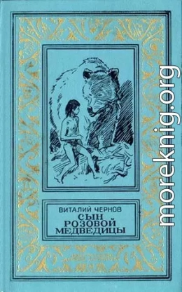 Сын Розовой Медведицы. Фантастический роман