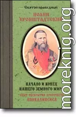 Начало и конец нашего земного мира. Опыт раскрытия пророчеств Апокалипсиса.