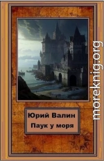 Паук у моря