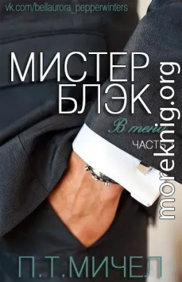 Мистер Блэк (ЛП)