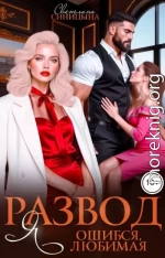 Развод. Я ошибся, любимая
