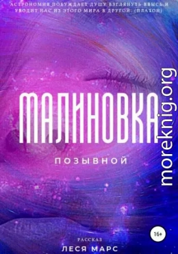 Позывной «Малиновка»