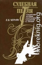 Судебная петля: Секретная история политических процессов на Западе
