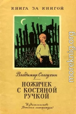 Ножичек с уостяной ручкой [авторский сборник]