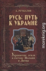 Русь: путь к Украине. Украинские земли в составе Польши и Литвы. Книга 2. Части 2 и 3